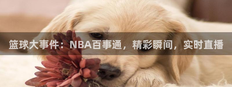 篮球大事件：NBA百事通，精彩瞬间，实时直播