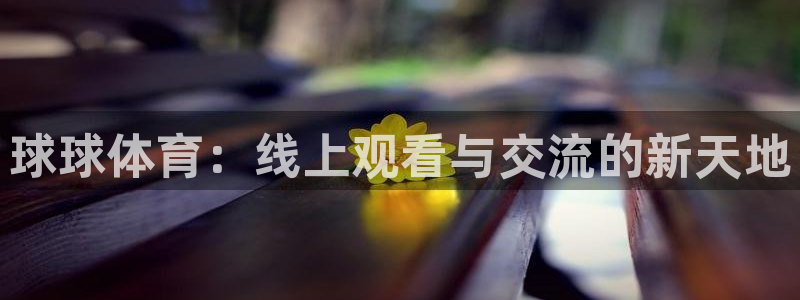 球球体育：线上观看与交流的新天地