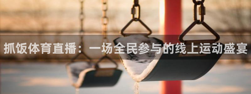 抓饭体育直播：一场全民参与的线上运动盛宴