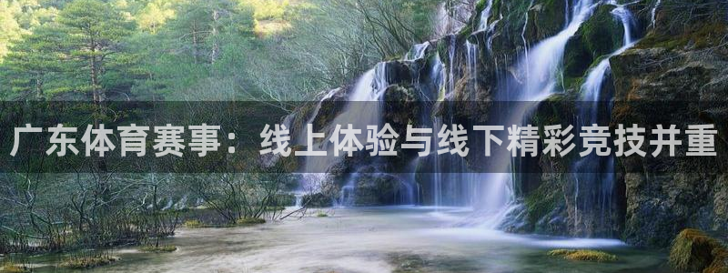 广东体育赛事：线上体验与线下精彩竞技并重