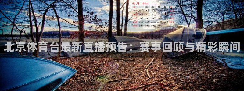 北京体育台最新直播预告：赛事回顾与精彩瞬间