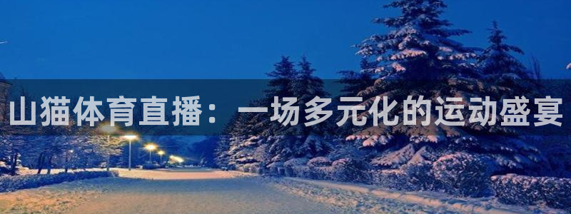 山猫体育直播：一场多元化的运动盛宴