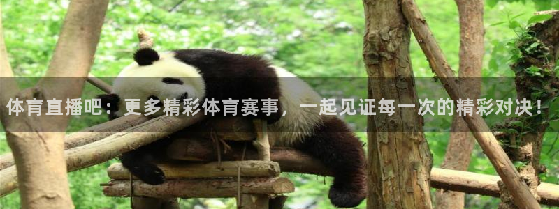 体育直播吧：更多精彩体育赛事，一起见证每一次的精彩对决！