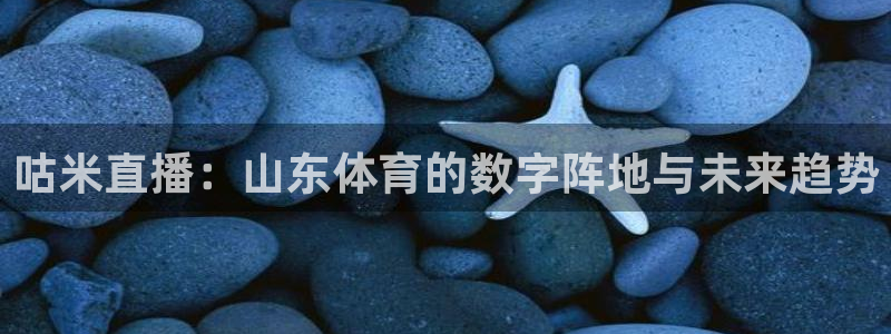 咕米直播：山东体育的数字阵地与未来趋势