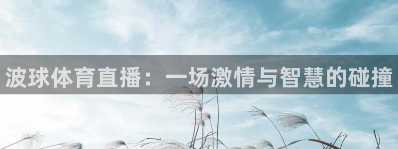 波球体育直播：一场激情与智慧的碰撞