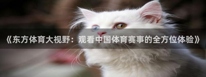《东方体育大视野：观看中国体育赛事的全方位体验》