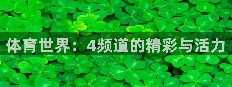 体育世界：4频道的精彩与活力