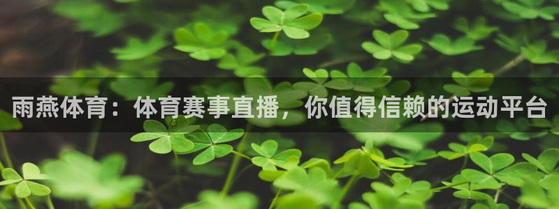 雨燕体育：体育赛事直播，你值得信赖的运动平台