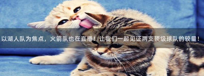 以湖人队为焦点，火箭队也在直播！让我们一起见证两支顶级球队的较量！