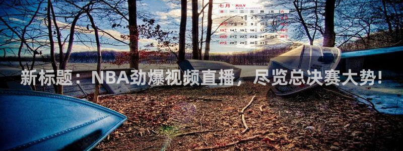 新标题：NBA劲爆视频直播，尽览总决赛大势!