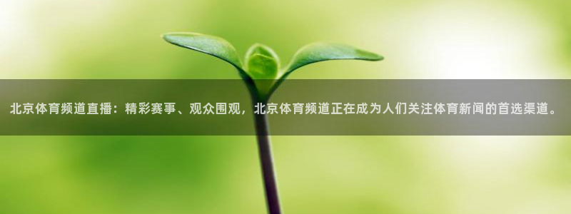 北京体育频道直播：精彩赛事、观众围观，北京体育频道正在成为人们关注体育新闻的首选渠道。