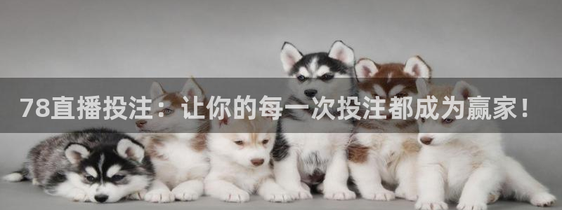 78直播投注：让你的每一次投注都成为赢家！