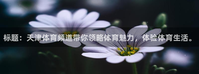 标题：天津体育频道带你领略体育魅力，体验体育生活。