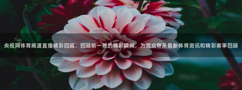 央视网体育频道直播精彩回顾：回顾前一晚的精彩瞬间，为观众带来最新体育资讯和精彩赛事回顾