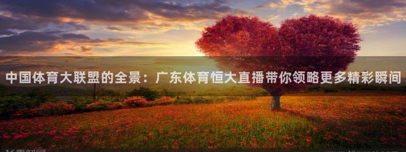 中国体育大联盟的全景：广东体育恒大直播带你领略更多精彩瞬间
